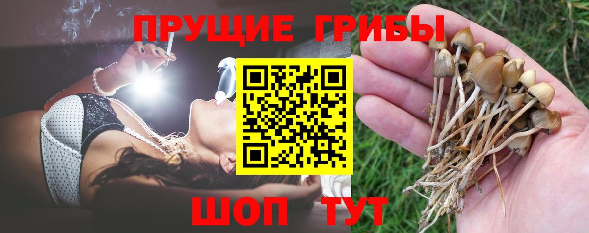 Выкса  Галлюциногенные грибы MAGIC MUSHROOMS  Вход с VPN  Галлюциногенные грибы мухоморы 